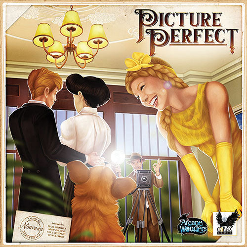 Picture Perfect (Ding & Dent) [Moderate Damage]